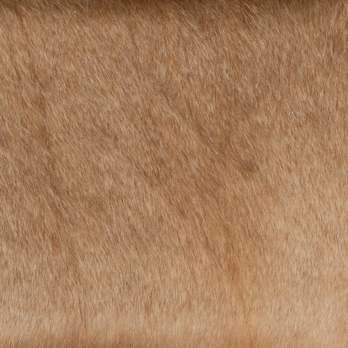 007 SI-1903065 | Closeup | Villa Bar Stool by Four Hands in light hair on hide, natural beech. Made from hair on hide, solid beech, iron in a modern style.