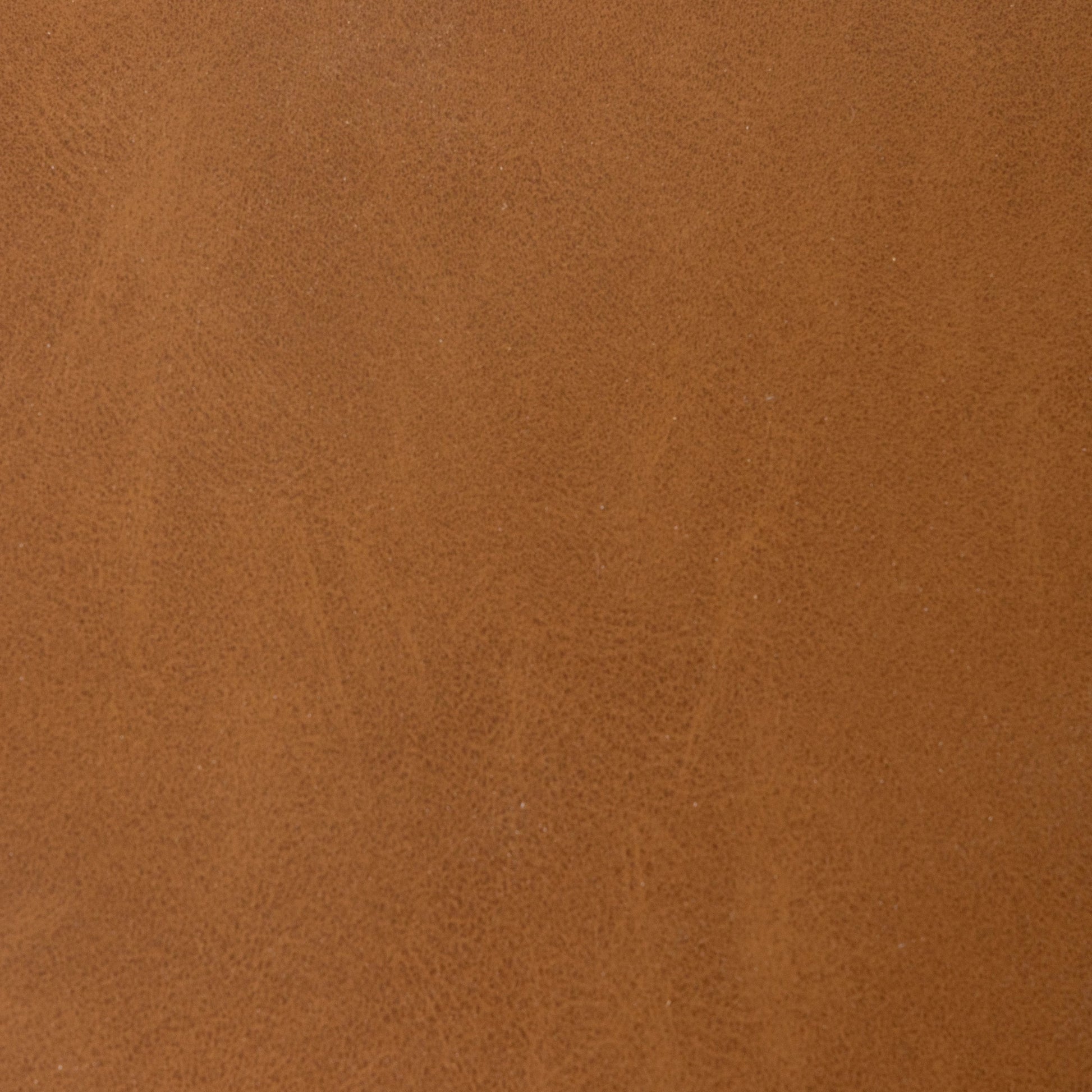 Sage Dining Bench by Four Hands in sierra butterscotch. Made from faux leather, solid beech, cane in a modern style.