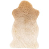 Beige Ombre