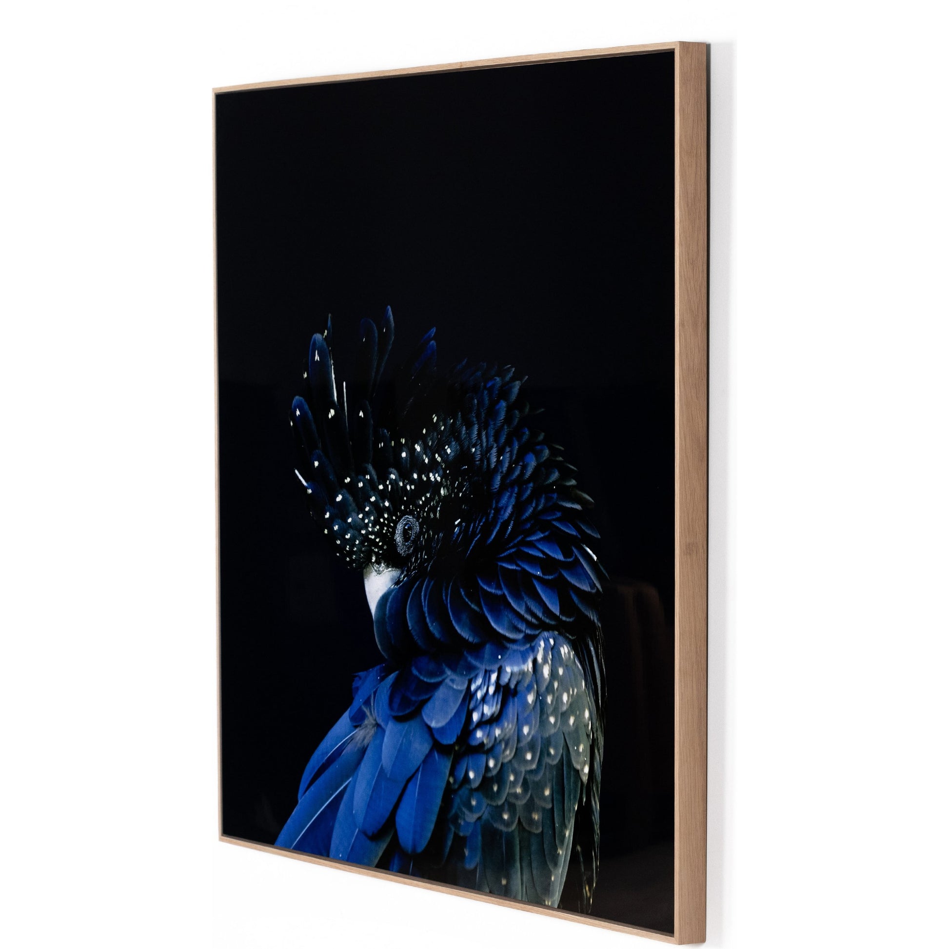 Red-Tailed Black Cockatoo by Getty Images by Four Hands. Made from vertical grain floater white oak, gloss white chromaluxe in a eclectic & global style.