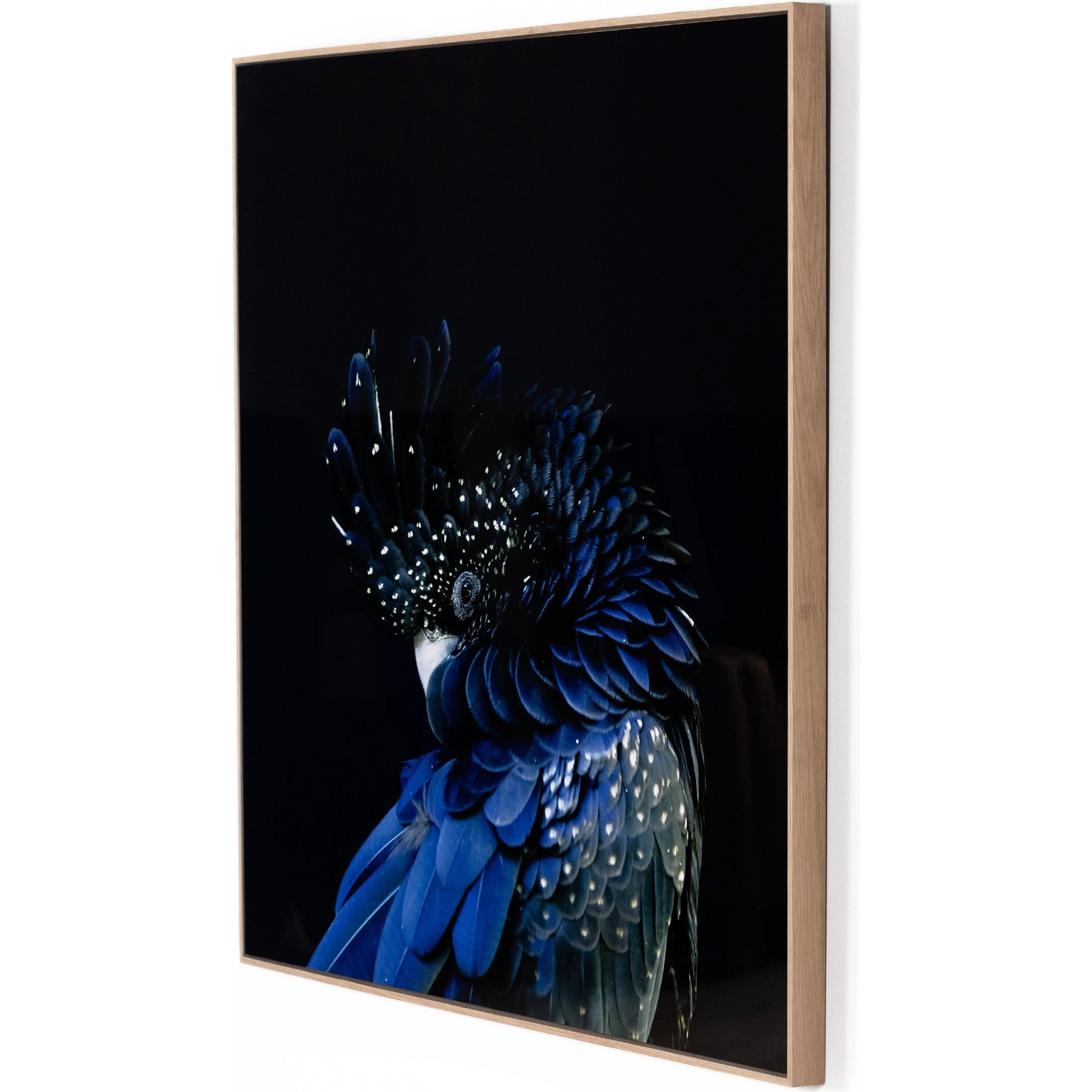 Red-Tailed Black Cockatoo by Getty Images by Four Hands. Made from vertical grain floater white oak, gloss white chromaluxe in a eclectic & global style.