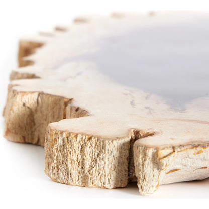 Petrified Wood Slab by Four Hands in dark. Made from petrified wood in a transitional style.