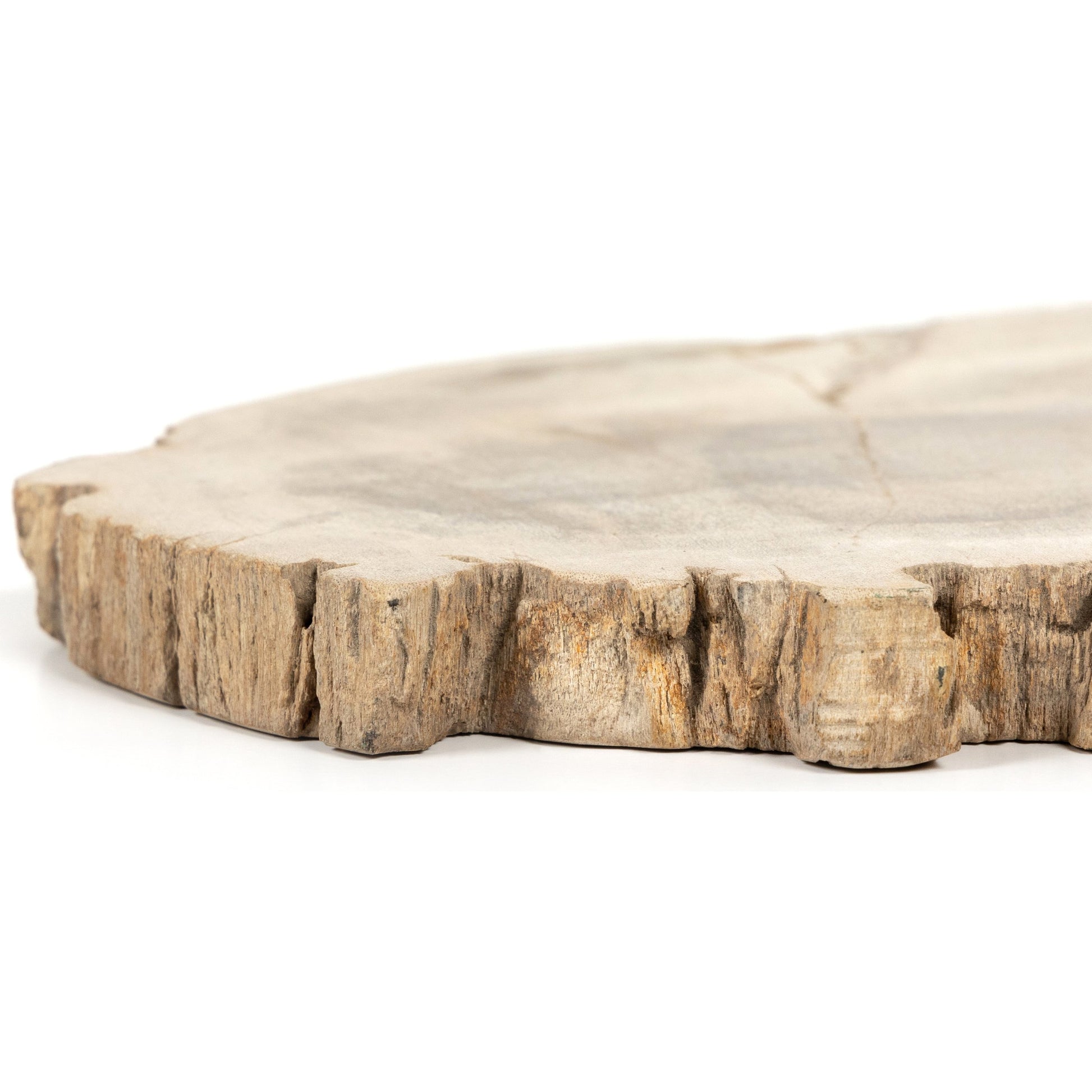Petrified Wood Slab by Four Hands in dark. Made from petrified wood in a transitional style.