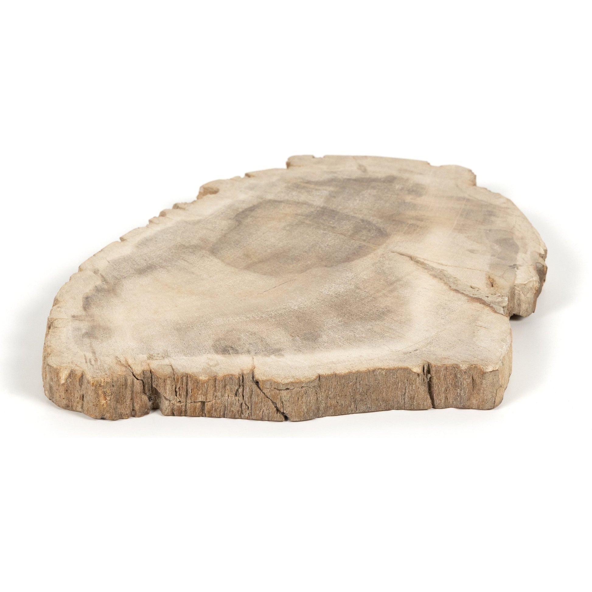 Petrified Wood Slab by Four Hands in dark. Made from petrified wood in a transitional style.