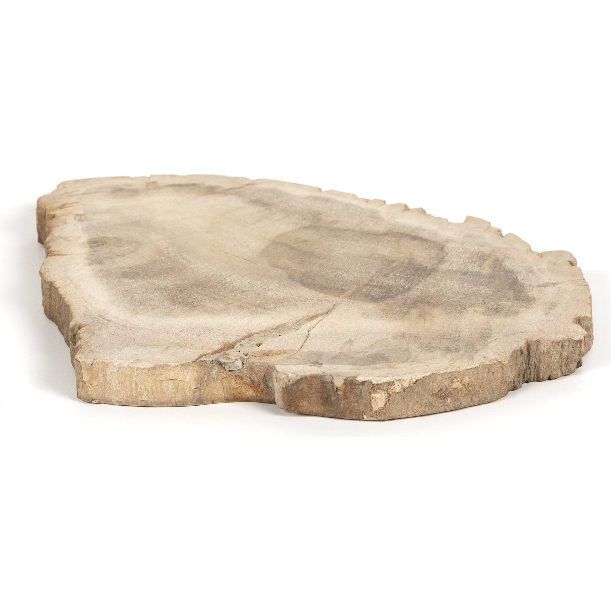 Petrified Wood Slab by Four Hands in dark. Made from petrified wood in a transitional style.