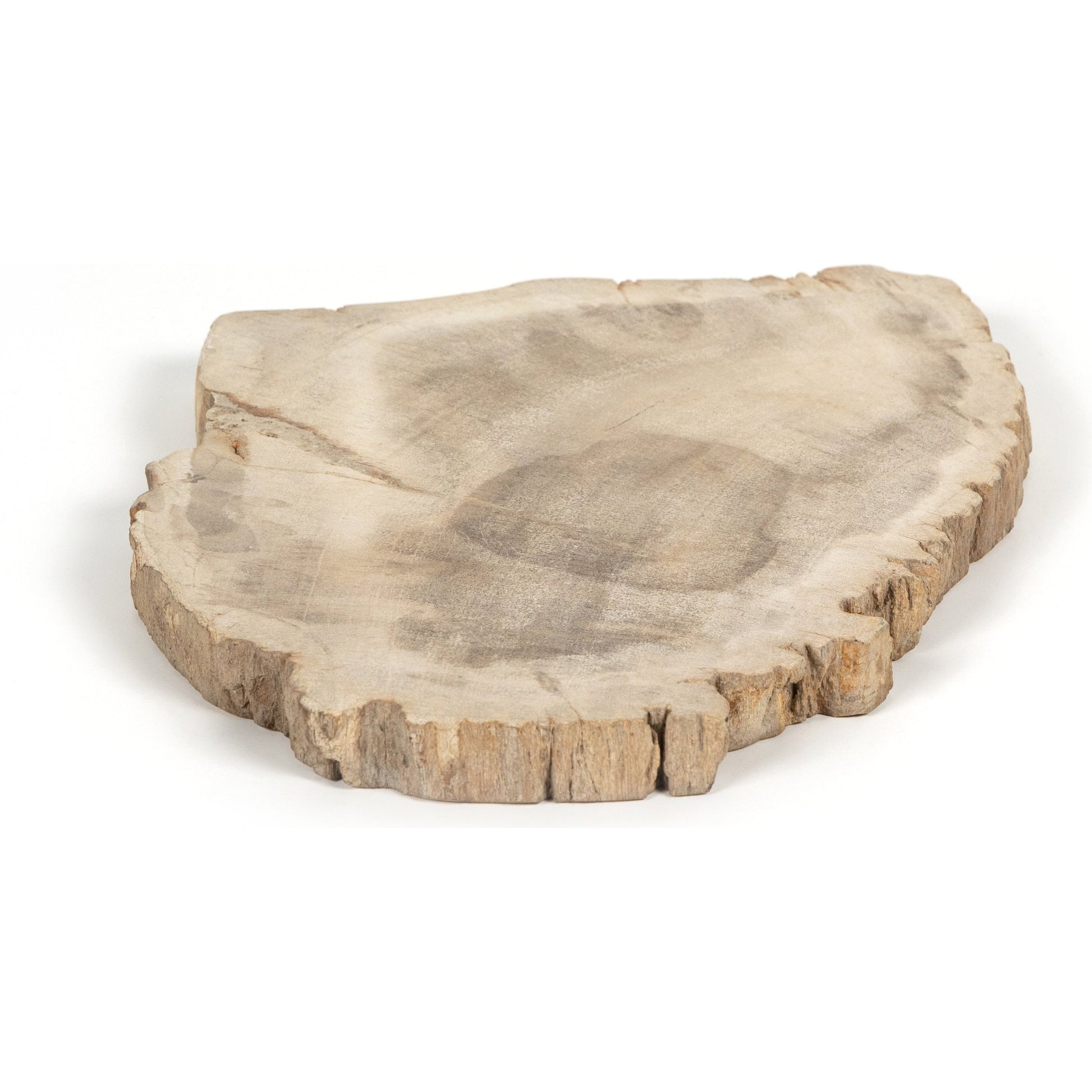 Petrified Wood Slab by Four Hands in dark. Made from petrified wood in a transitional style.