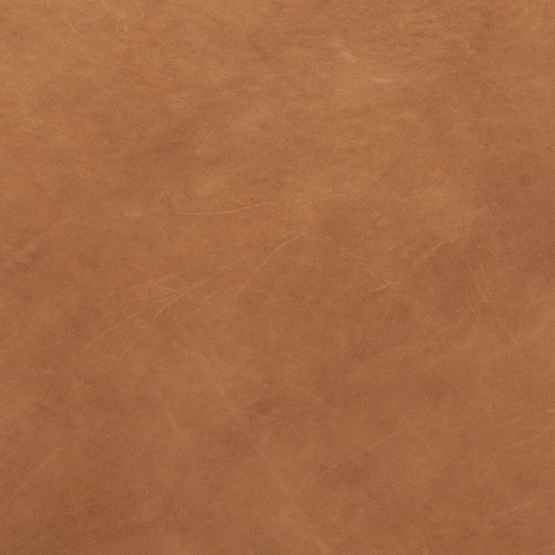 Almada Dining Armchair by Four Hands in valencia camel, distressed natural. Made from top grain leather, solid parawood, 100% polyester in a transitional style.