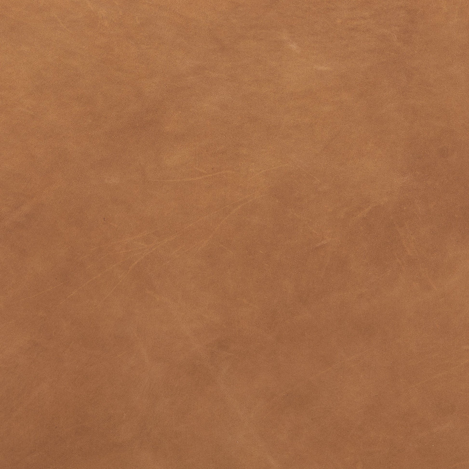 Almada Dining Armchair by Four Hands in valencia camel, distressed natural. Made from top grain leather, solid parawood, 100% polyester in a transitional style.