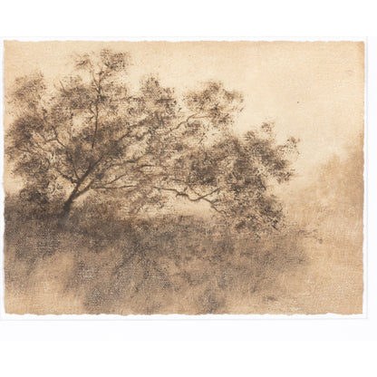 Hillside Haze X by Aileen Fitzgerald by Four Hands. Made from textured fine art paper in a cottage & farmhouse style.