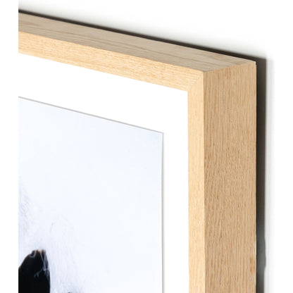 American Dream by Boyd Elder by Four Hands in vertical grain 2.5 white oak, photo paper, clear acrylic glazing. Made from vertical grain white oak, photo paper, acrylic glazing in a eclectic & global style.