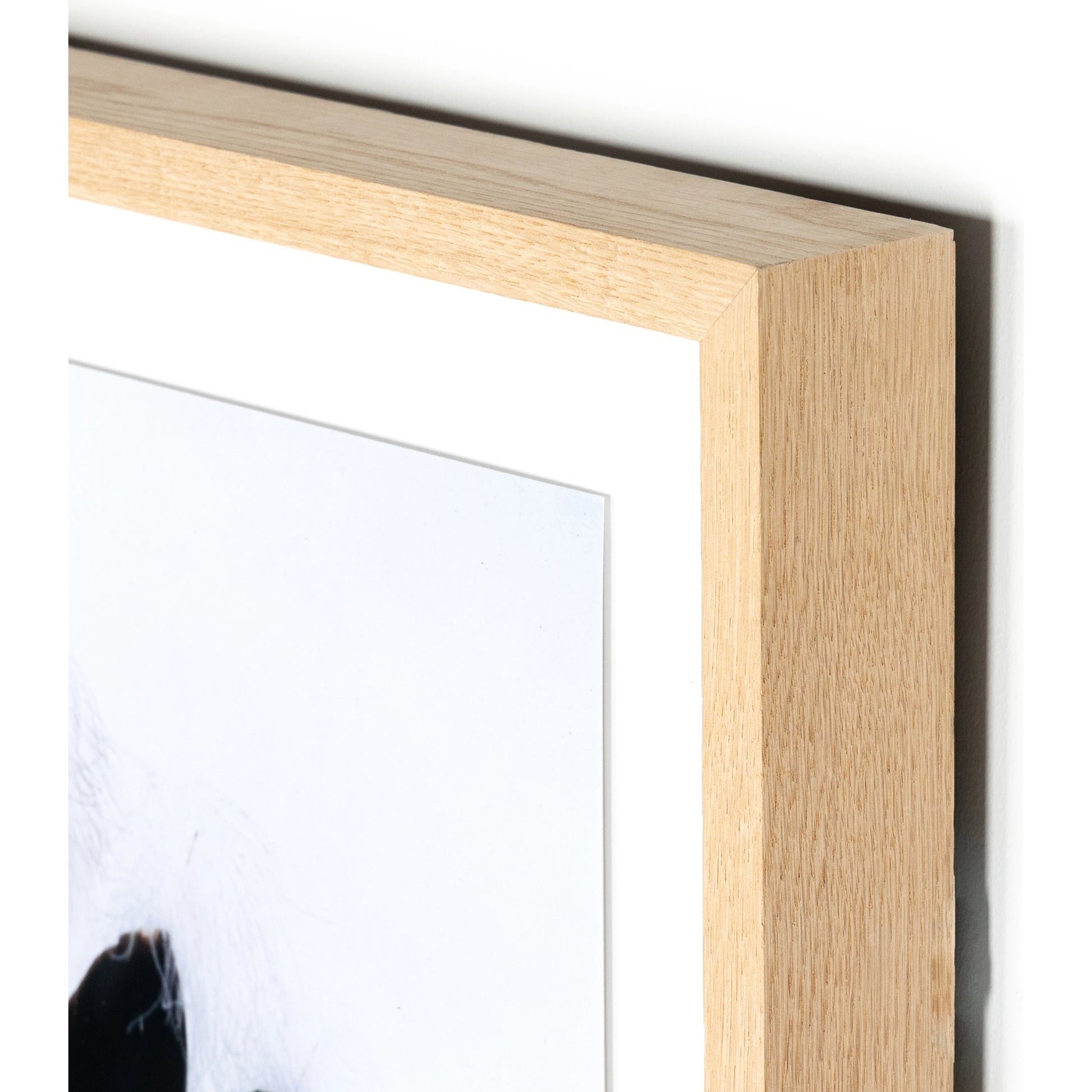 American Dream by Boyd Elder by Four Hands in vertical grain 2.5 white oak, photo paper, clear acrylic glazing. Made from vertical grain white oak, photo paper, acrylic glazing in a eclectic & global style.