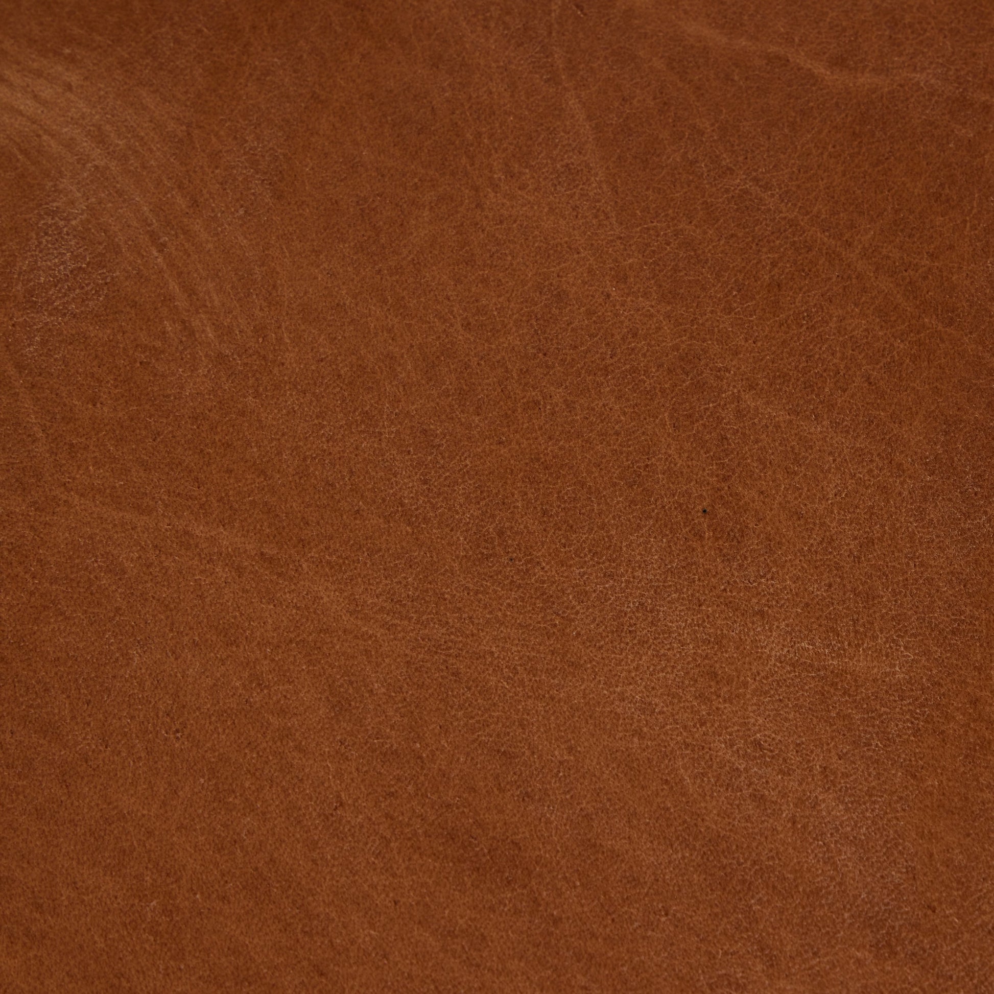 Baden Counter Stool by Four Hands. Made from unique in a modern style.