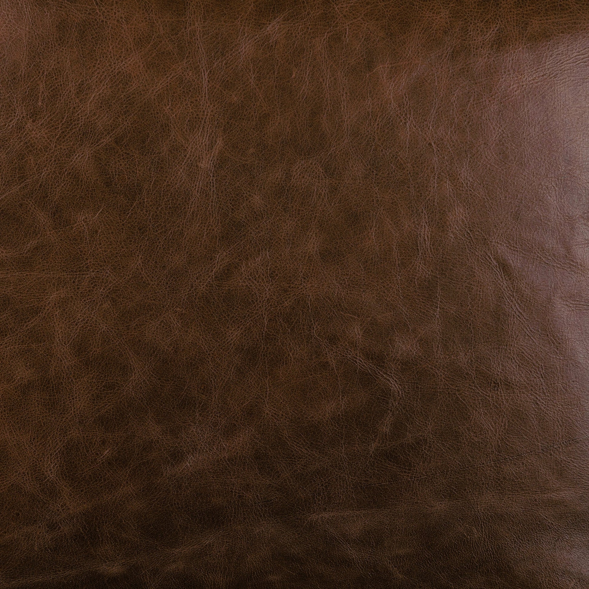 Wilmington Dining Chair by Four Hands. Made from unique in a modern style.