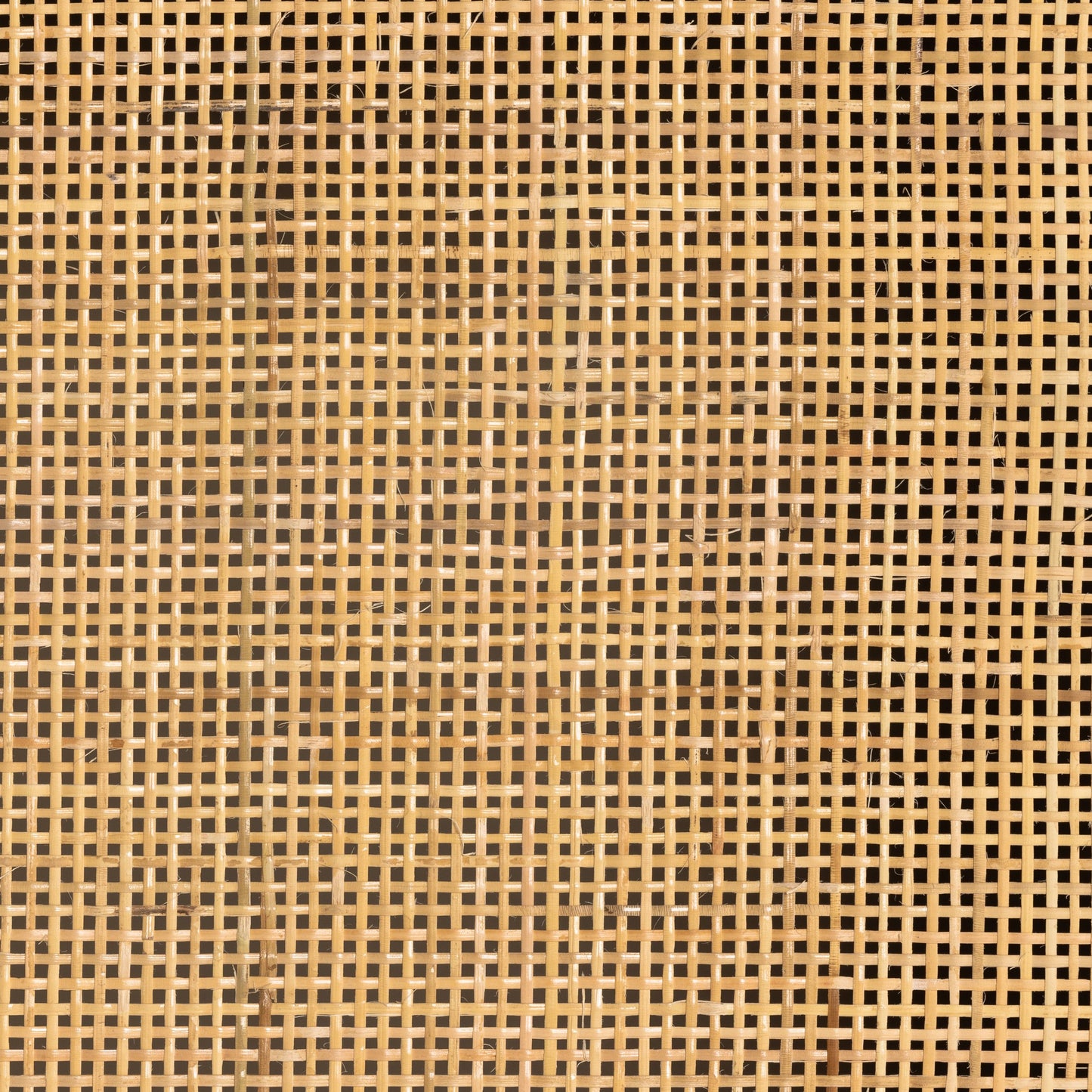 018 SI-1980283 | Closeup | Caprice Tall Cabinet by Four Hands in natural mango. Made from cane, solid mango in a modern style.