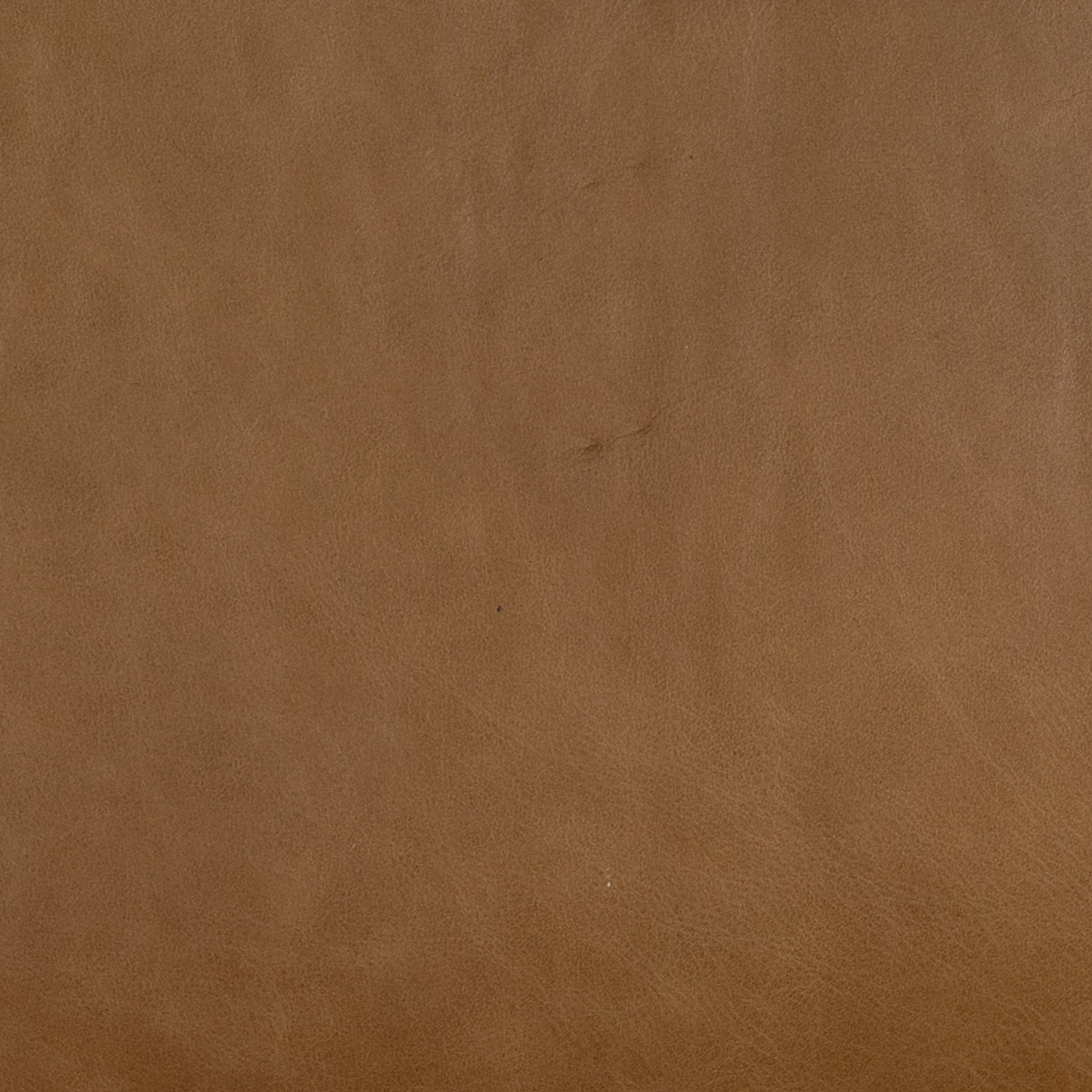 Leather and Linen Block Pillow by Four Hands in thames cream, sonoma butterscotch. Made from 66% polyester, 19% acrylic, 15% flax, linen, top grain leather, down alternative fiber in a transitional style.