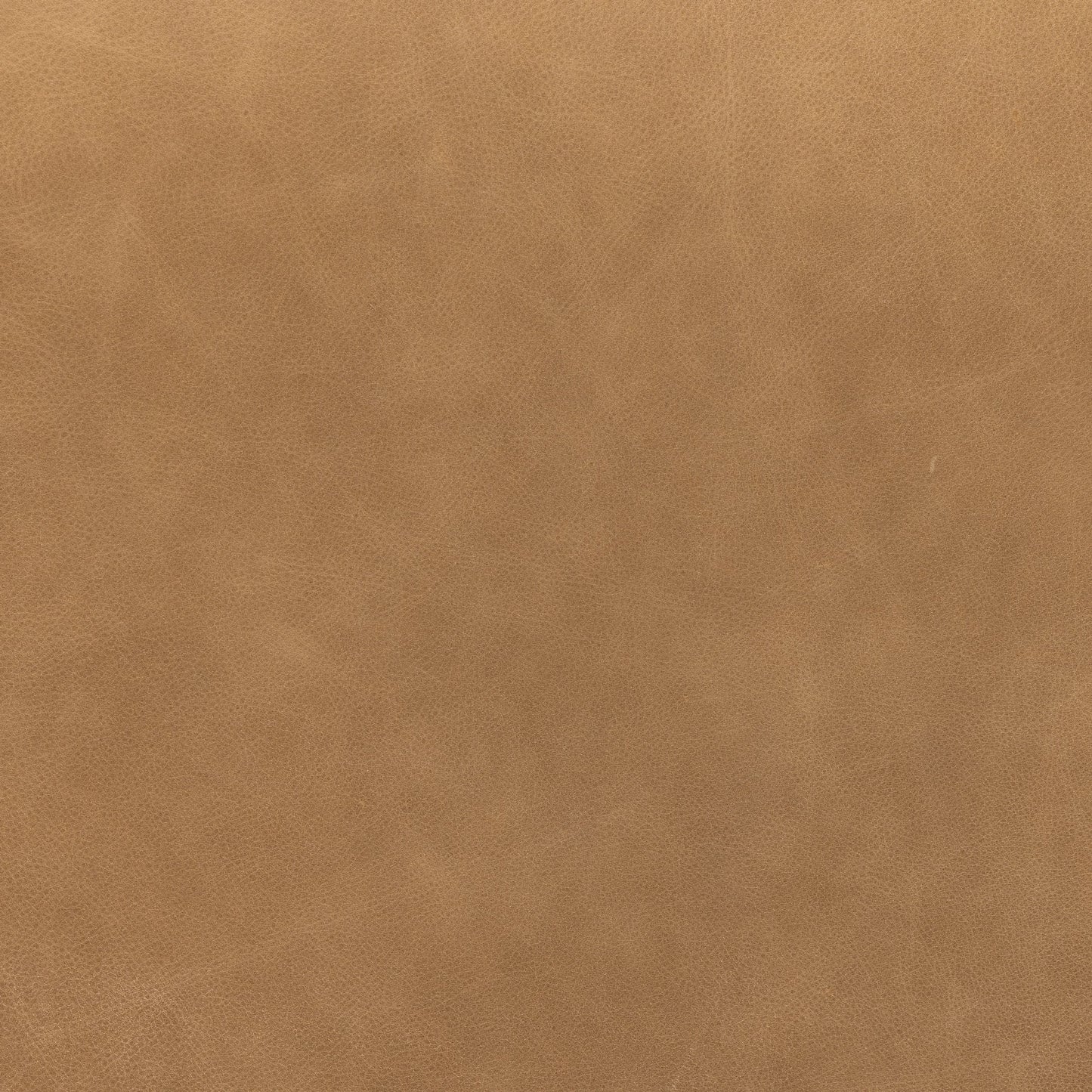 004 SI-1977446 | Additional Silo | Kiano Dining Leather Armchair by Four Hands in palermo drift, washed natural parawood. Made from top grain leather, solid parawood, 100% polyester in a modern style.