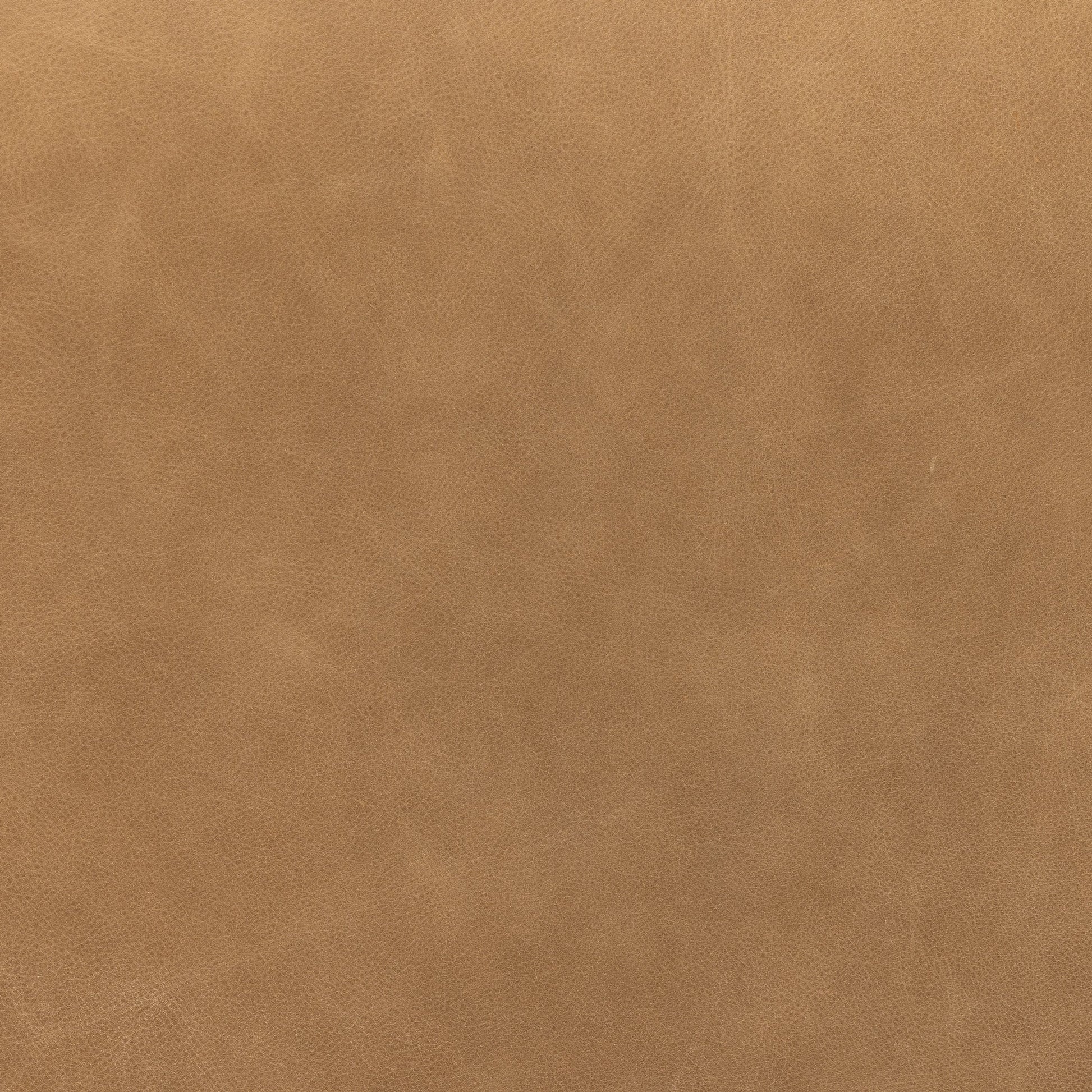 Kiano Dining Leather Armchair by Four Hands in palermo drift, washed natural parawood. Made from top grain leather, solid parawood, 100% polyester in a modern style.