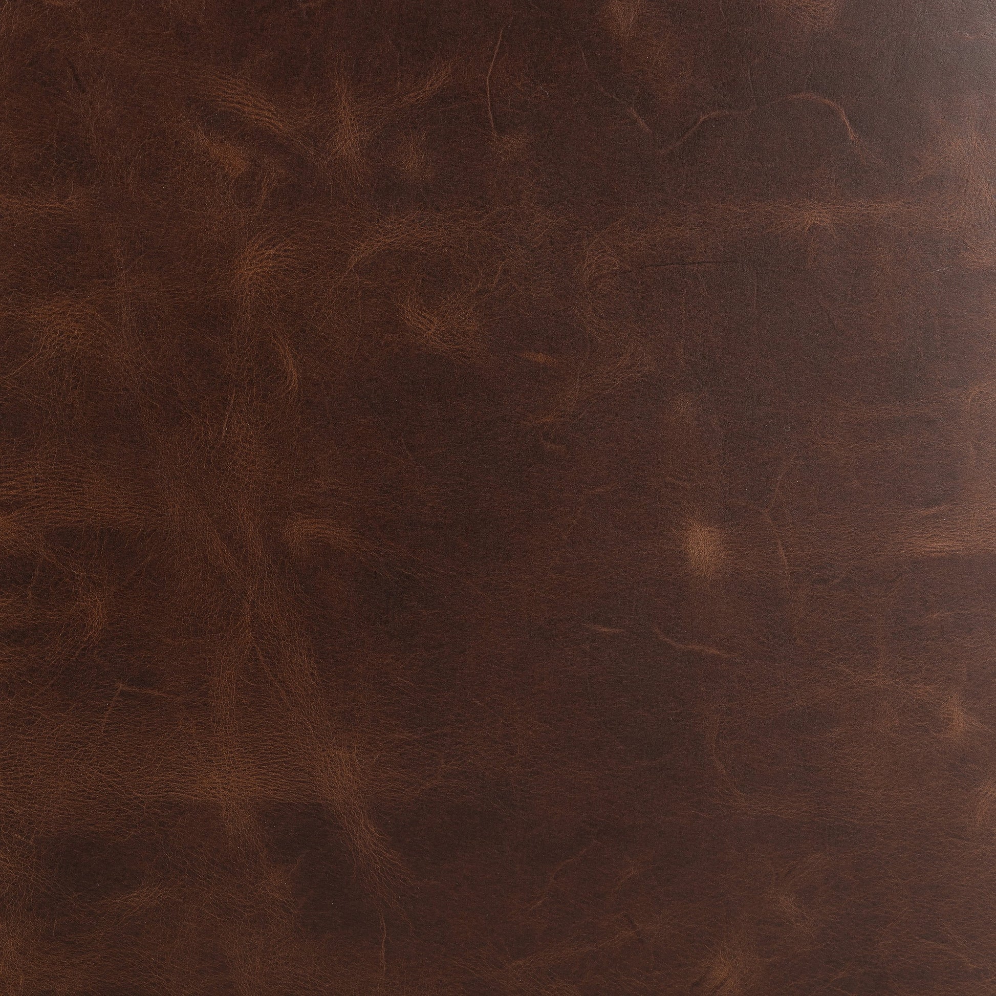 Paul Swivel Chair by Four Hands in raleigh cigar. Made from top grain leather, poplar plywood, 100% polyester in a modern style.