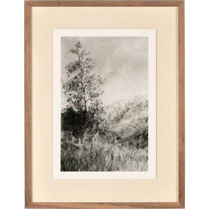 Landscape Study I by Aileen Fitzgerald by Four Hands. Made from walnut, textured fine art paper, acrylic glazing in a transitional style.
