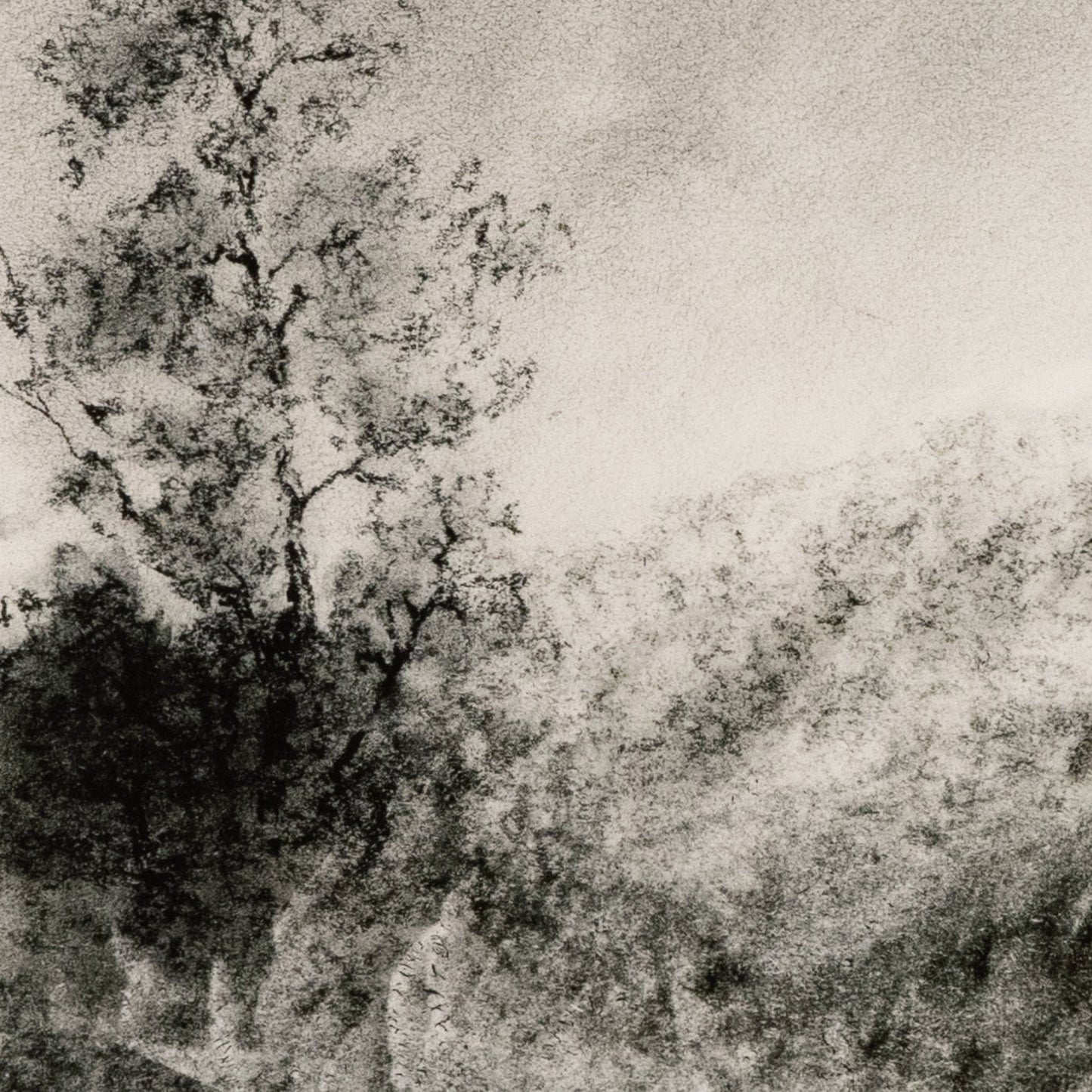 004 SI-1902685 | Closeup | Landscape Study I by Aileen Fitzgerald by Four Hands. Made from walnut, textured fine art paper, acrylic glazing in a transitional style.