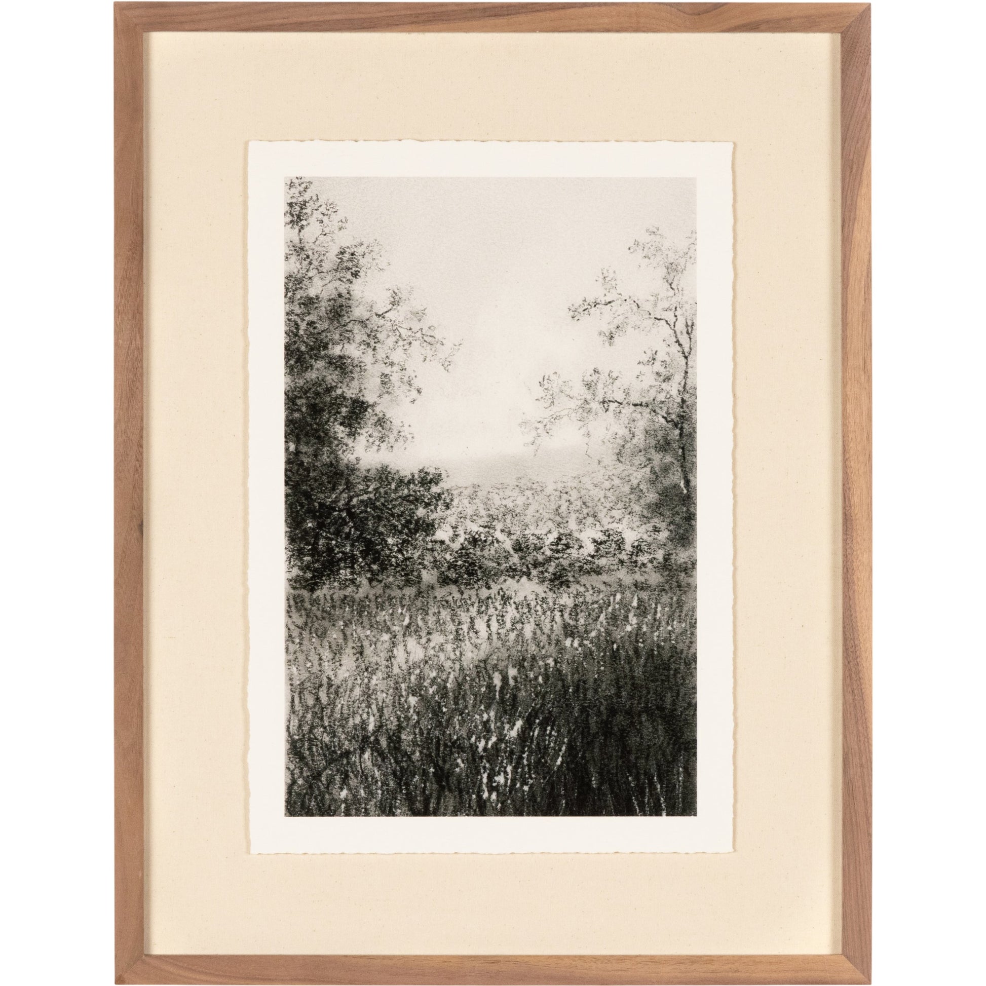 Landscape Study II by Aileen Fitzgerald by Four Hands. Made from walnut, textured fine art paper, acrylic glazing in a transitional style.