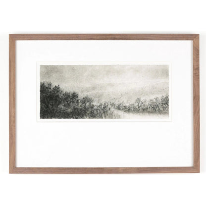 Hill Country Study I by Aileen Fitzgerald by Four Hands. Made from rustic walnut, acrylic glazing in a transitional style.