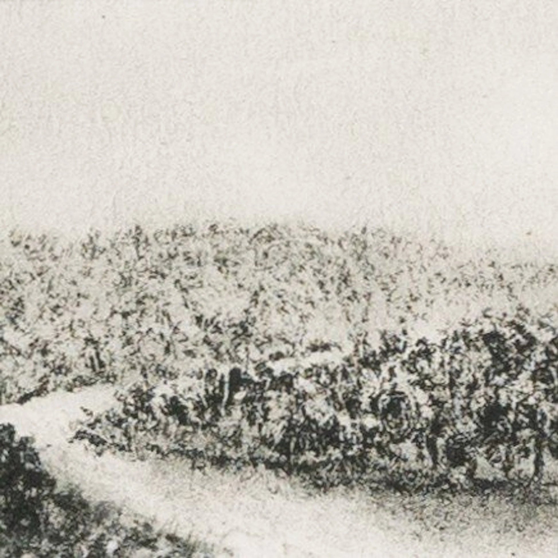 Hill Country Study II by Aileen Fitzgerald by Four Hands. Made from rustic walnut, acrylic glazing in a transitional style.