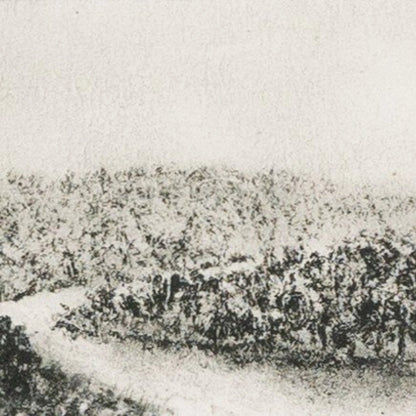 Hill Country Study II by Aileen Fitzgerald by Four Hands. Made from rustic walnut, acrylic glazing in a transitional style.