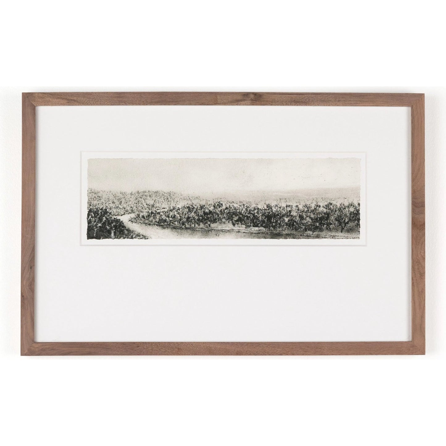 001 SI-1901297 | Primary Silo | Hill Country Study II by Aileen Fitzgerald by Four Hands. Made from rustic walnut, acrylic glazing in a transitional style.