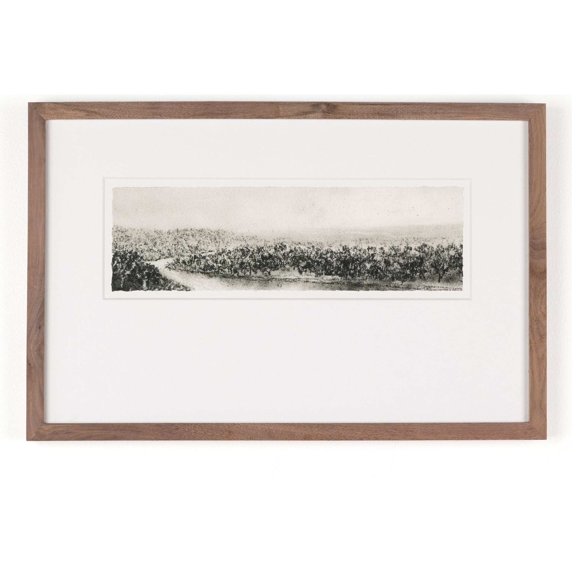 Hill Country Study II by Aileen Fitzgerald by Four Hands. Made from rustic walnut, acrylic glazing in a transitional style.