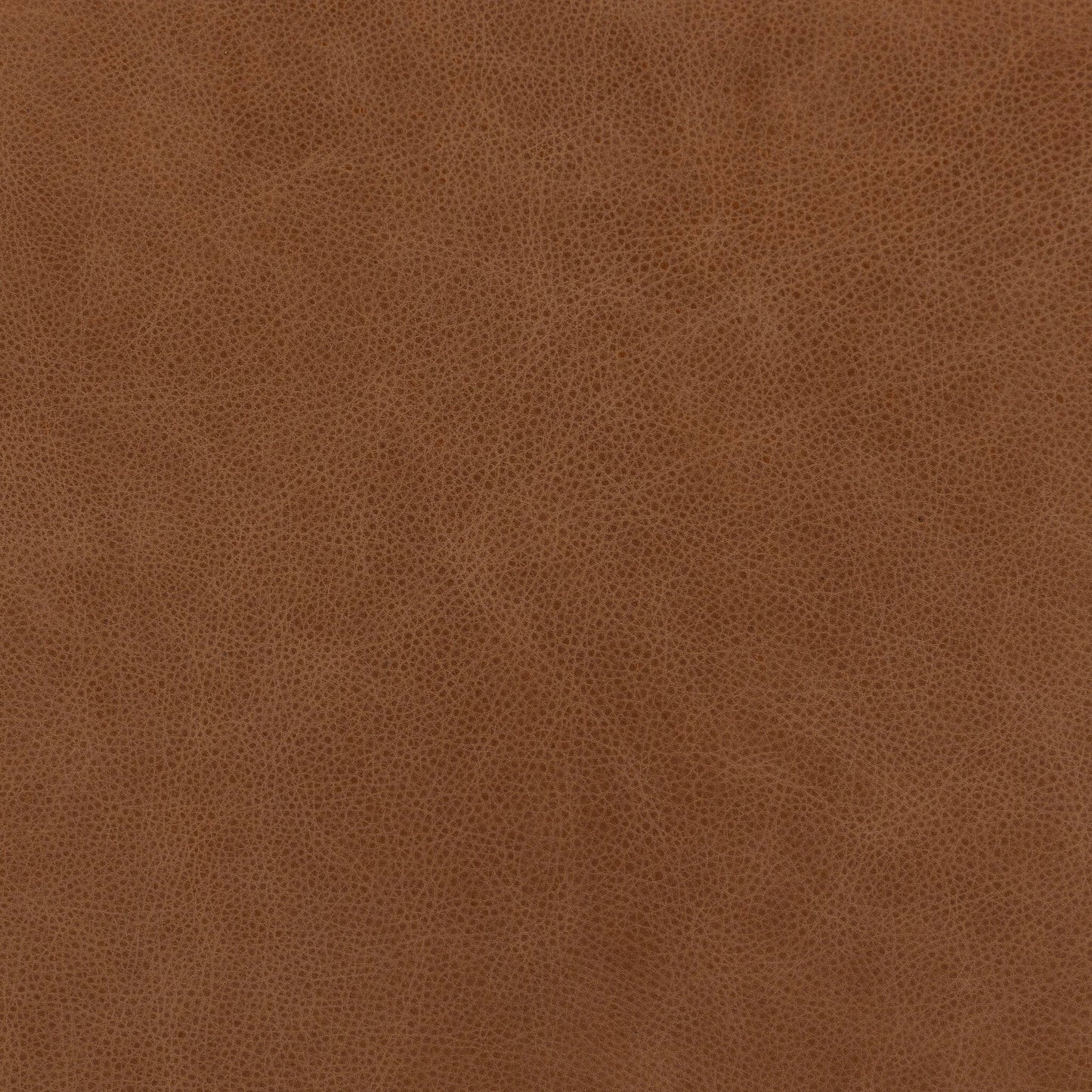 006 SI-2137704 | Closeup | Wellborn Sofa by Four Hands in palermo cognac. Made from top grain leather, poplar plywood, 100% polyester in a modern style.