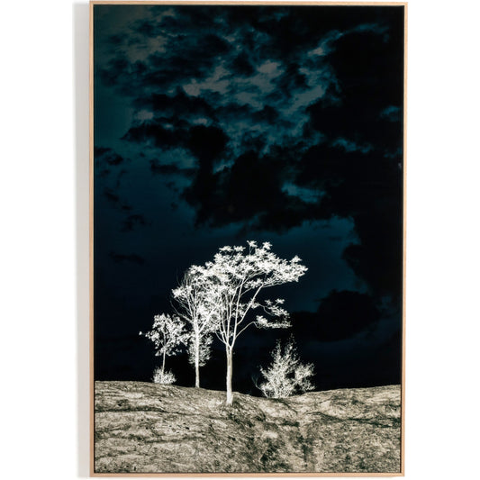 There's a Lack of Color Here by Getty Images by Four Hands. Made from gloss white chromaluxe in a modern style.