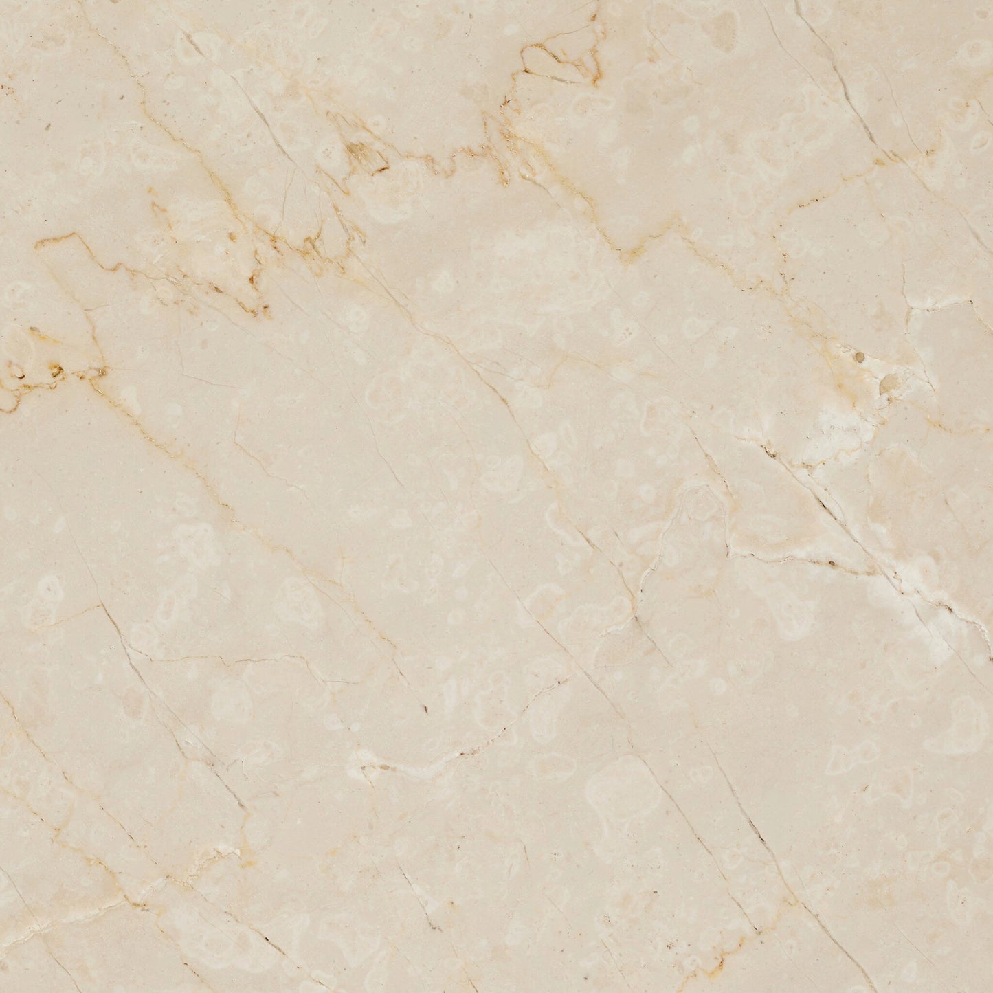 016 SI-2158610 | Closeup | Zion Coffee Table Set by Four Hands. Made from solid marble, engineered hardwood in a modern style.