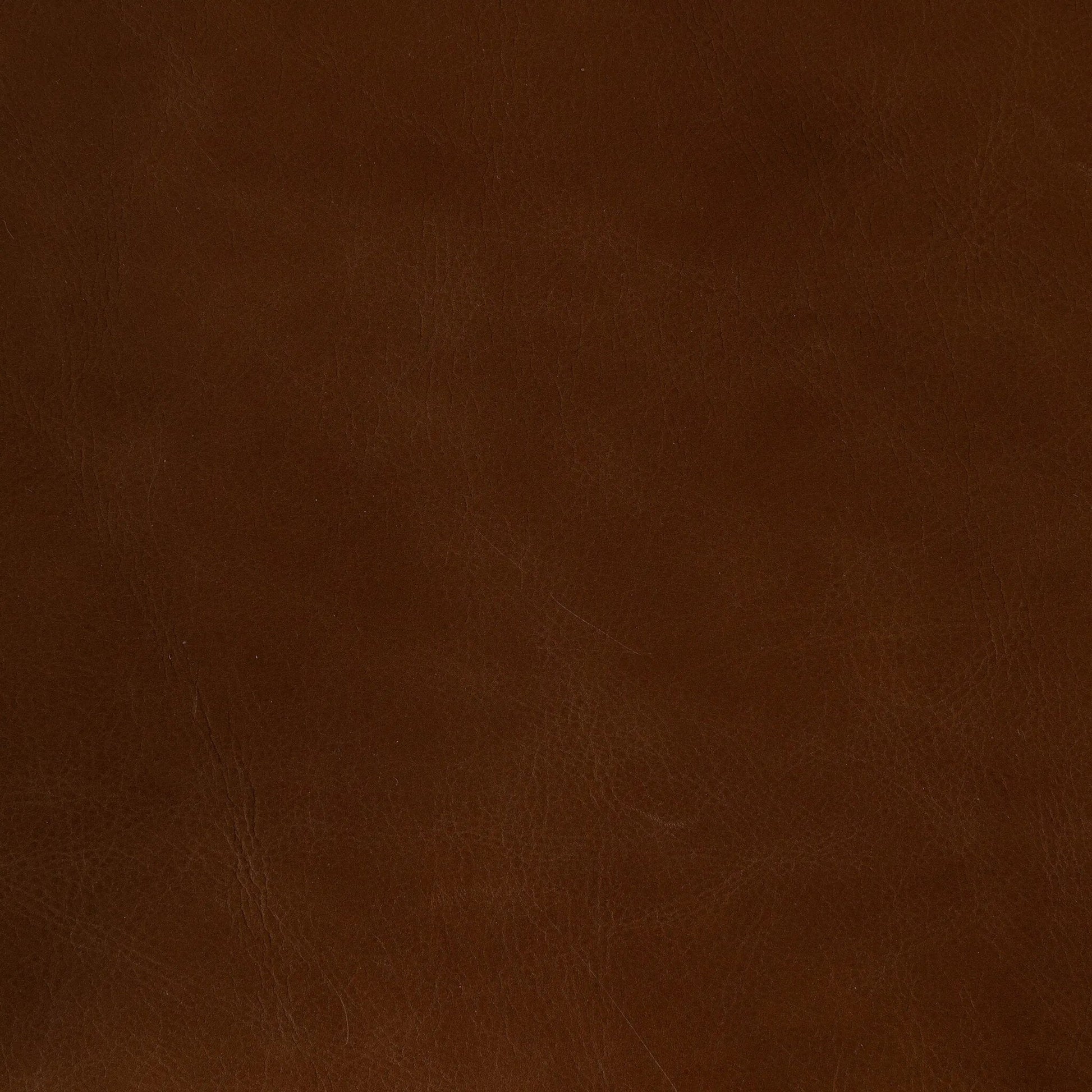 Dane Chair by Four Hands. Made from unique in a modern style.