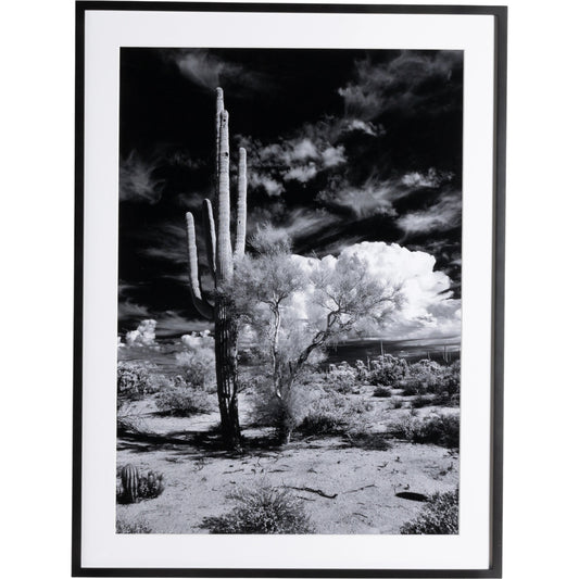 001 SI-1977813 | Primary Silo | Sonoran Desert by Getty Images by Four Hands. Made from acrylic glazing in a modern style.