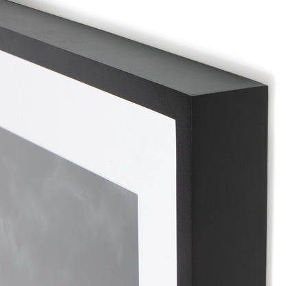 Sonoran Desert by Getty Images by Four Hands in black maple. Made from black 2.5 maple, photo paper in a modern style.