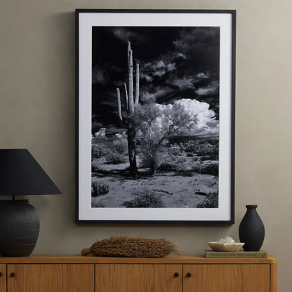 Sonoran Desert by Getty Images by Four Hands in black maple. Made from black 2.5 maple, photo paper in a modern style.