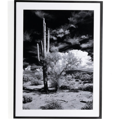 Sonoran Desert by Getty Images by Four Hands in black maple. Made from black 2.5 maple, photo paper in a modern style.