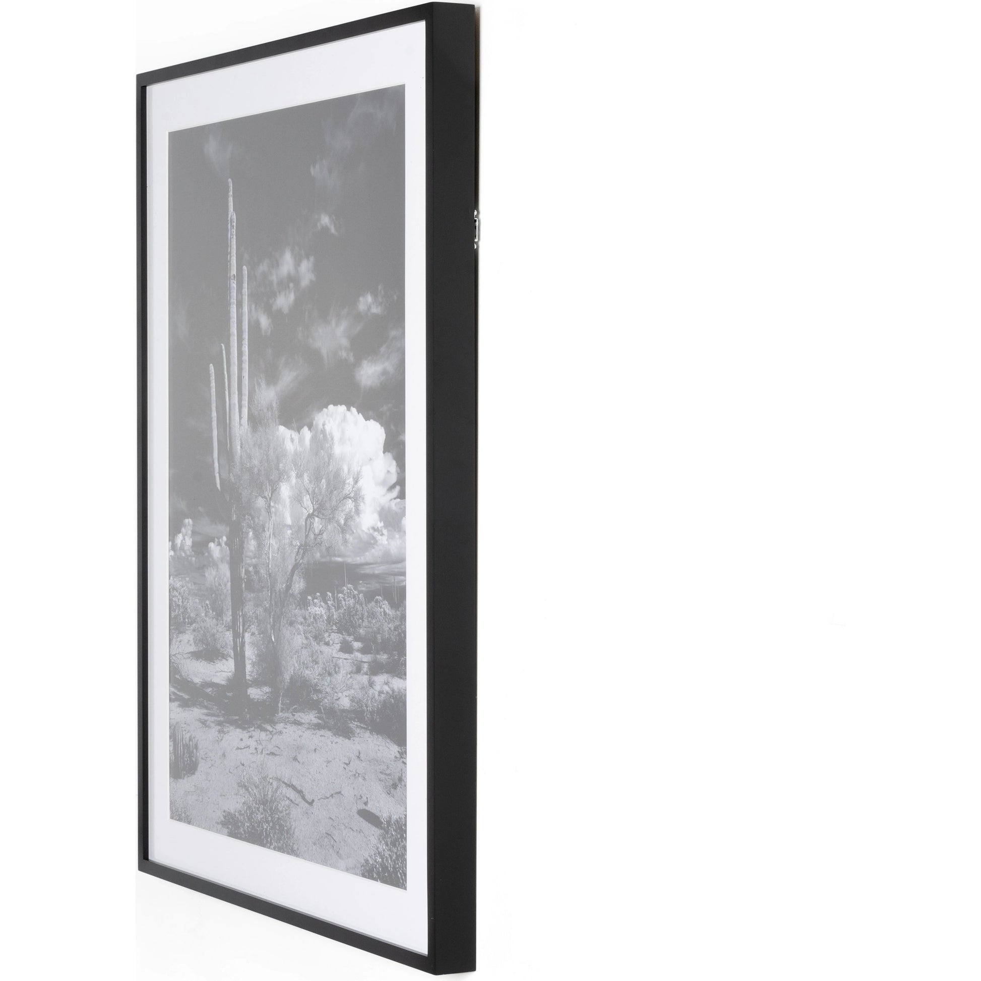 Sonoran Desert by Getty Images by Four Hands in black maple. Made from black 2.5 maple, photo paper in a modern style.