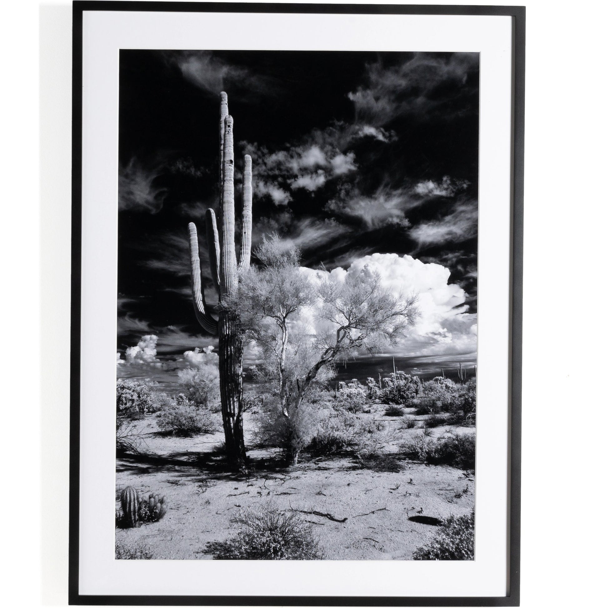 Sonoran Desert by Getty Images by Four Hands in black maple. Made from black 2.5 maple, photo paper in a modern style.