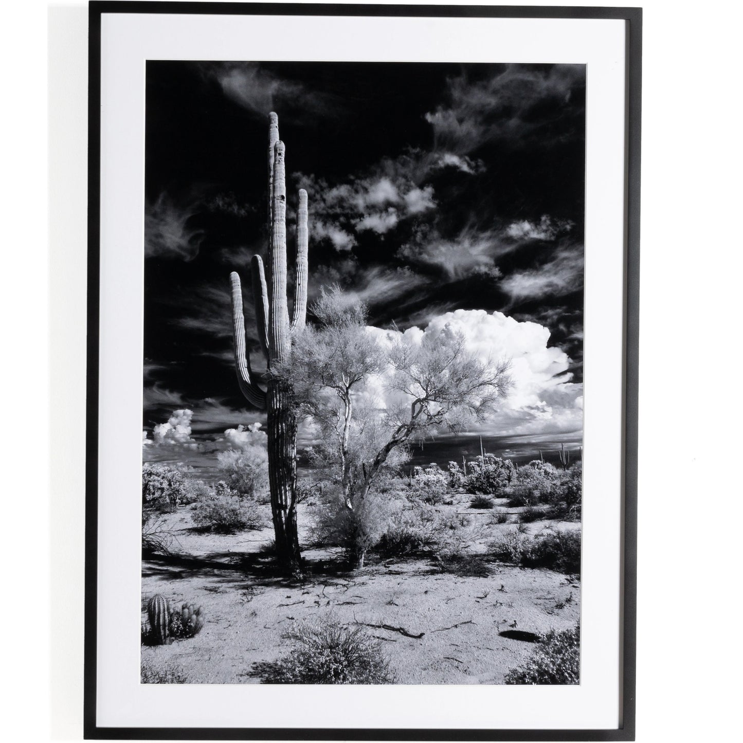 001 SI-2001922 | Additional Silo | Sonoran Desert by Getty Images by Four Hands in black maple. Made from black 2.5 maple, photo paper in a modern style.