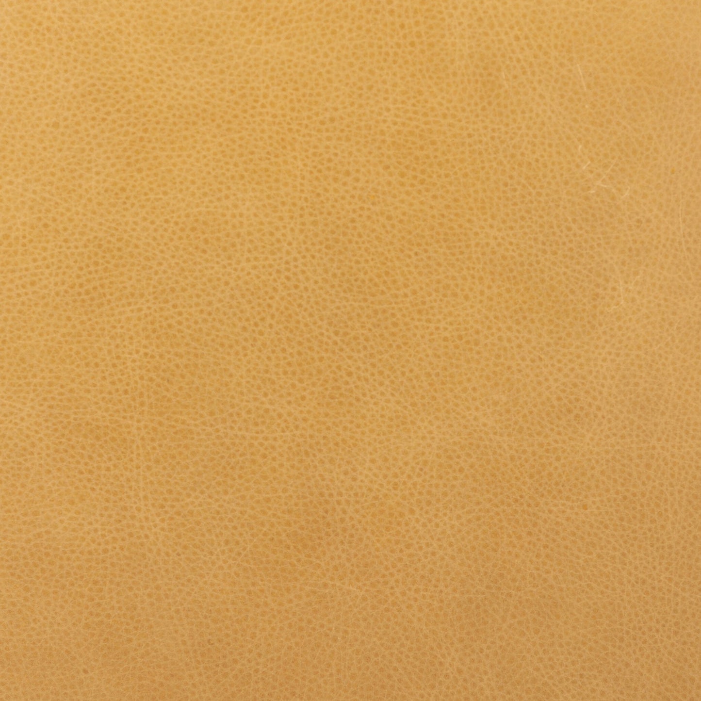 013 SI-2158481 | Closeup | Sinclair Square Ottoman-21" by Four Hands in palermo butterscotch, distressed natural. Made from top grain leather, solid parawood, 100% polyester in a modern style.