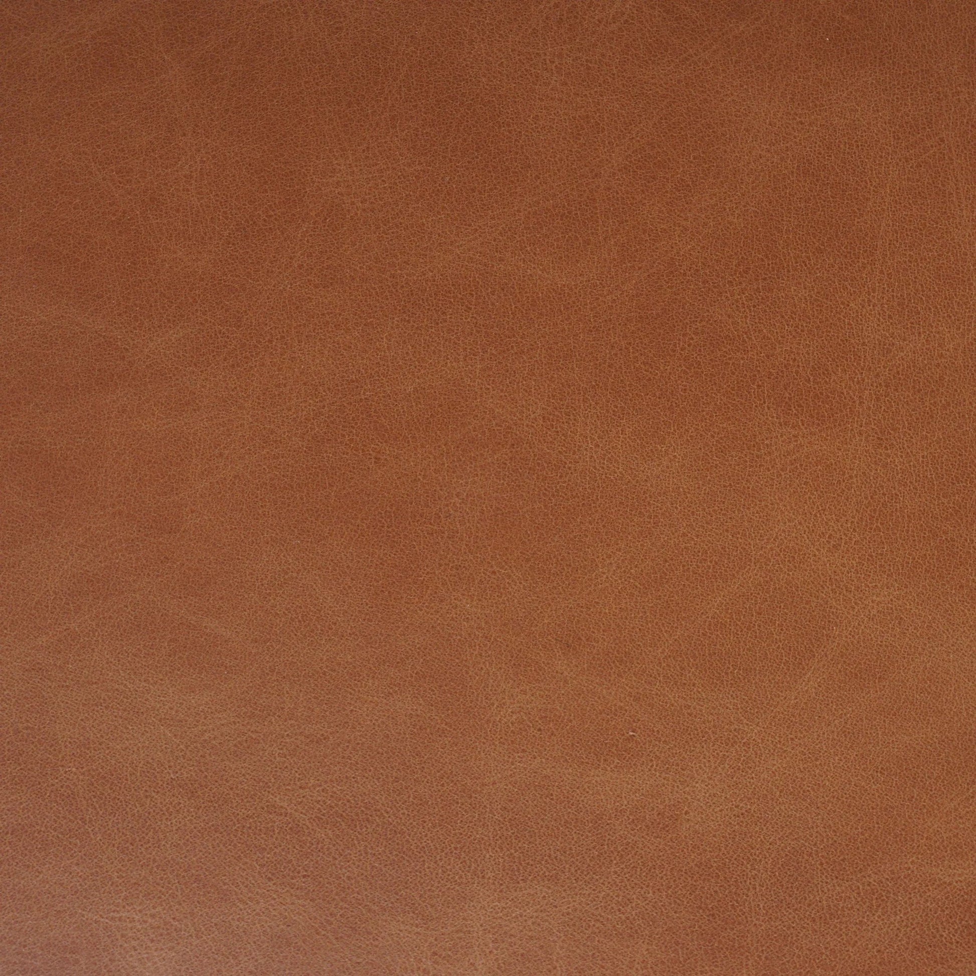 Tamari Dining Chair by Four Hands. Made from unique in a transitional style.