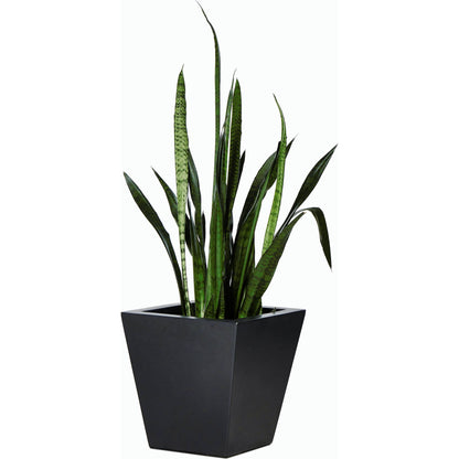 Koto Planter by Four Hands in black concrete. Made from concrete in a modern style.
