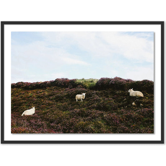 Sheep in Heather by Wesley and Emma Teague by Four Hands. Made from unique in a modern style.