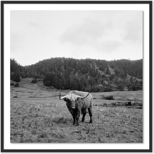Highlander / Elk, CA by Wesley and Emma Teague by Four Hands. Made from unique in a modern style.