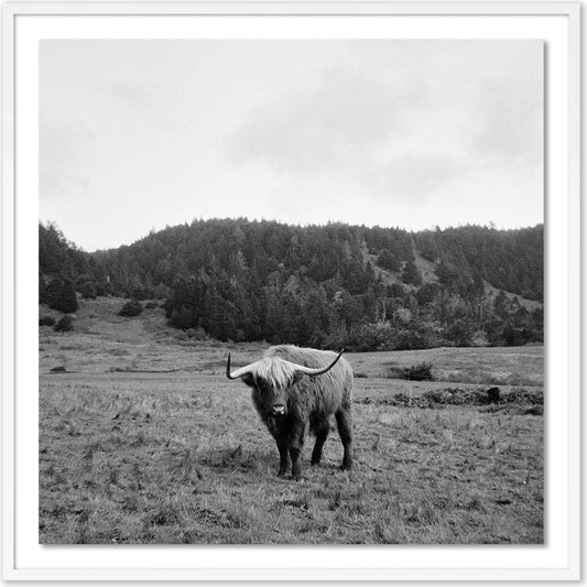 Highlander / Elk, CA by Wesley and Emma Teague by Four Hands. Made from unique in a modern style.