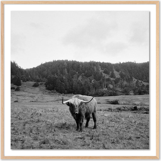 Highlander / Elk, CA by Wesley and Emma Teague by Four Hands. Made from unique in a modern style.