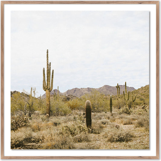 High Desert by Wesley and Emma Teague by Four Hands. Made from acrylic glazing in a modern style.
