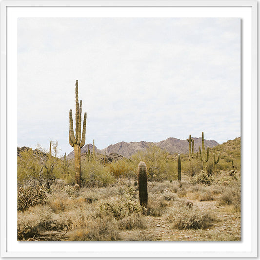 High Desert by Wesley and Emma Teague by Four Hands. Made from acrylic glazing in a modern style.
